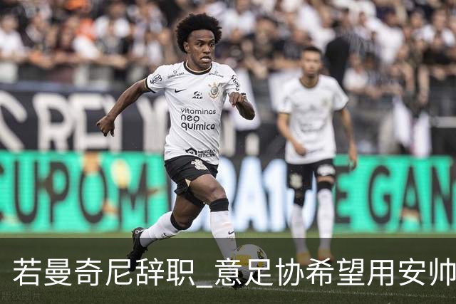 若曼奇尼辞职 意足协希望用安帅或卡纳瓦罗替代